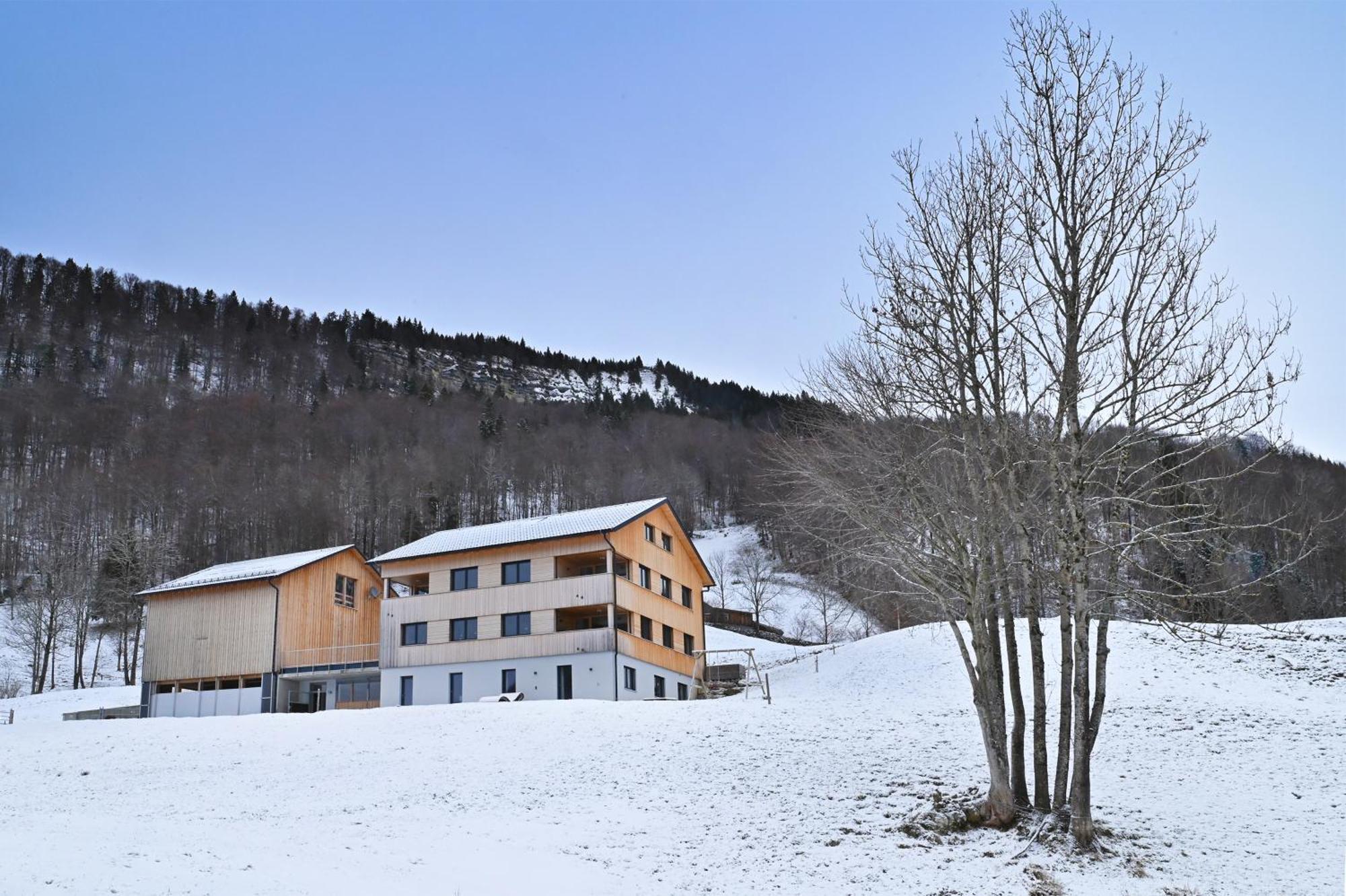 Panoramahof Bergglueck Apartment Mellau Luaran gambar