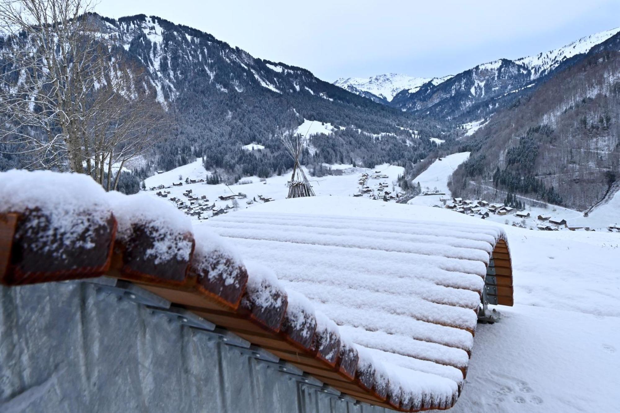 Panoramahof Bergglueck Apartment Mellau Luaran gambar